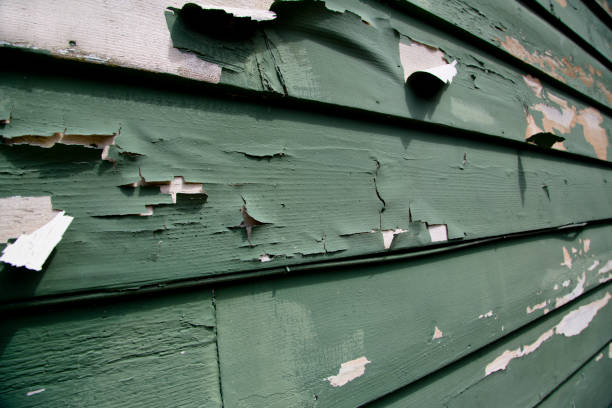 Best Residential Vinyl Siding Installation  in Yale, MI