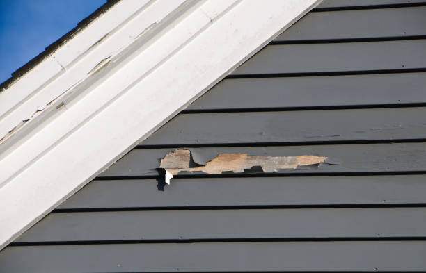 Best Brick Veneer Siding  in Yale, MI