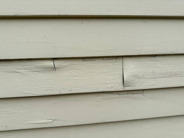 Best Stone Veneer Siding  in Yale, MI